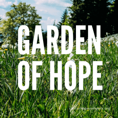garden of hope cubes